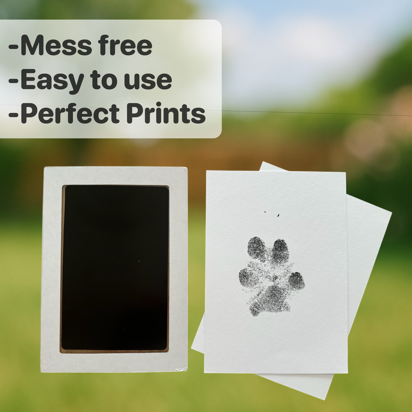 Little Prints Pawprint Kit